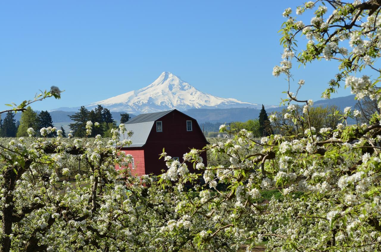 Old Parkdale Inn Bed And Breakfast Hood River Exteriör bild