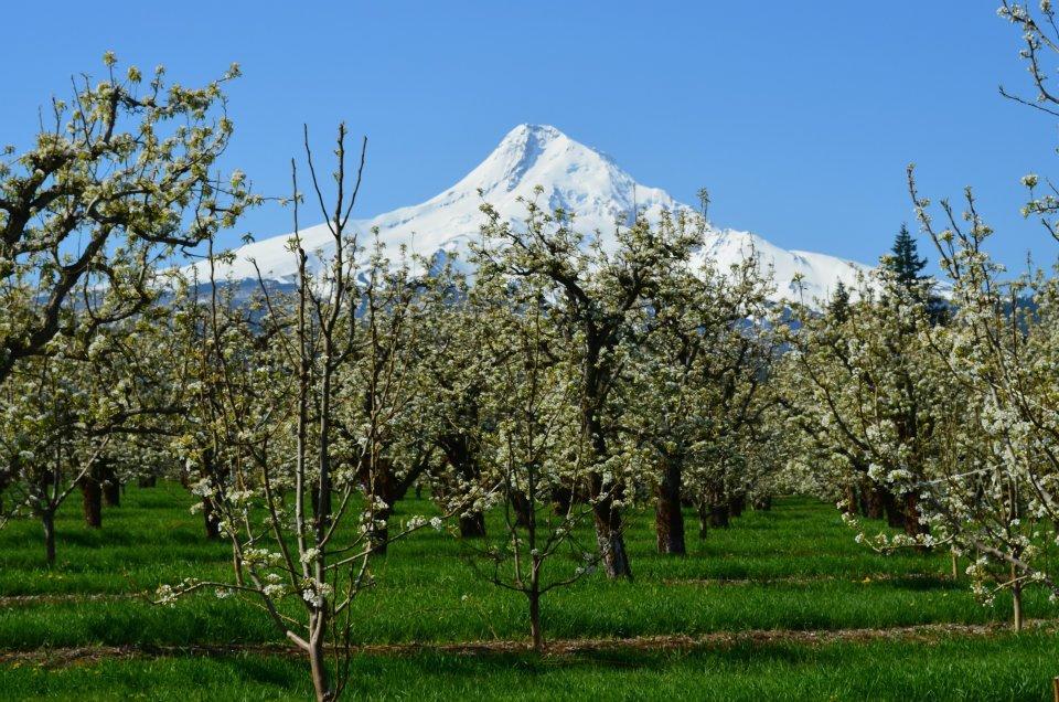 Old Parkdale Inn Bed And Breakfast Hood River Exteriör bild